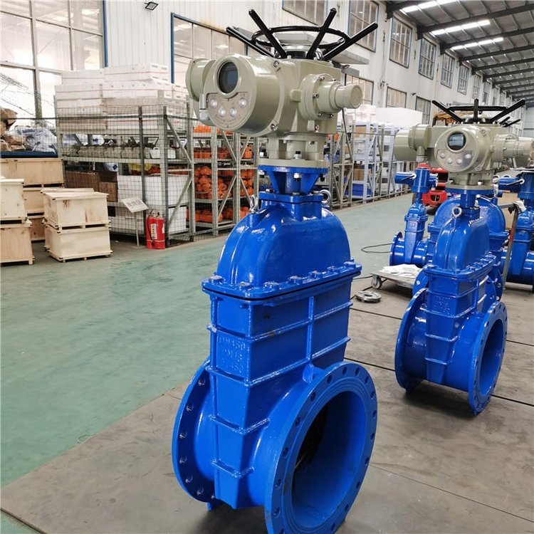 電動閘閥Z941h -64 DN500（石化行業、煉油廠、化工廠）