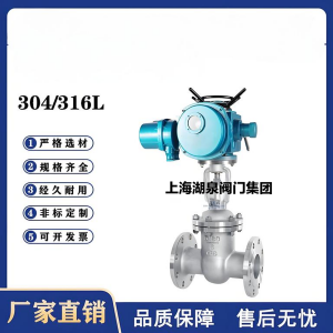 Z941W-16P，DN250，CF8/F304不銹鋼電動閘閥